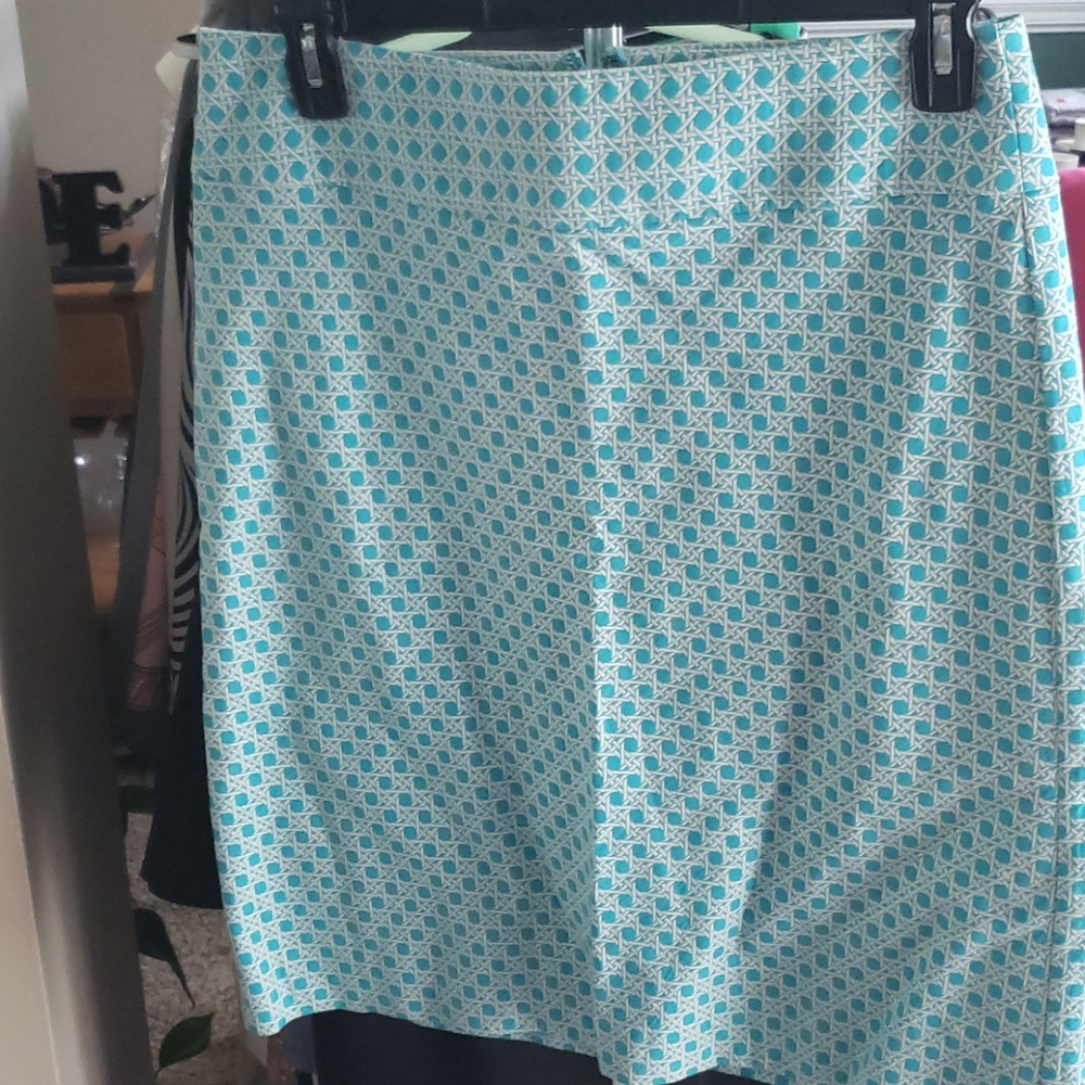 Blue printed skirt